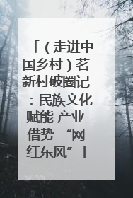 （走进中国乡村）茗新村破圈记：民族文化赋能 产业借势 “网红东风”