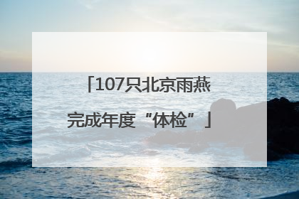 107只北京雨燕完成年度“体检”