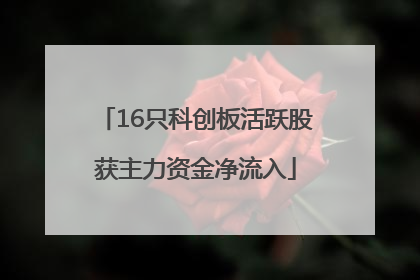 16只科创板活跃股获主力资金净流入