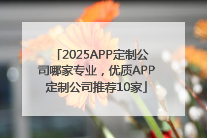 2025APP定制公司哪家专业，优质APP定制公司推荐10家