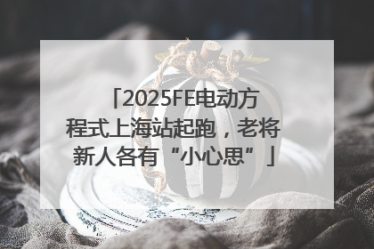 2025FE电动方程式上海站起跑，老将新人各有“小心思”