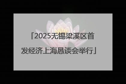 2025无锡梁溪区首发经济上海恳谈会举行