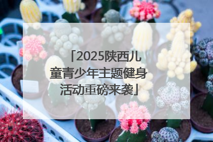 2025陕西儿童青少年主题健身活动重磅来袭