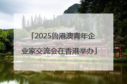 2025鲁港澳青年企业家交流会在香港举办