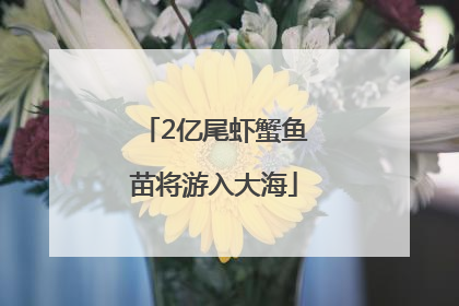 2亿尾虾蟹鱼苗将游入大海