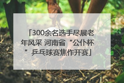 300余名选手尽展老年风采 河南省“公仆杯”乒乓球赛焦作开赛