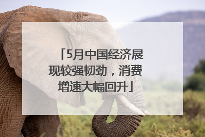 5月中国经济展现较强韧劲，消费增速大幅回升