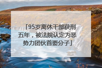 95岁离休干部获刑五年，被法院认定为恶势力团伙首要分子