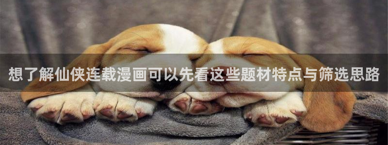 51漫画免费阅读网站