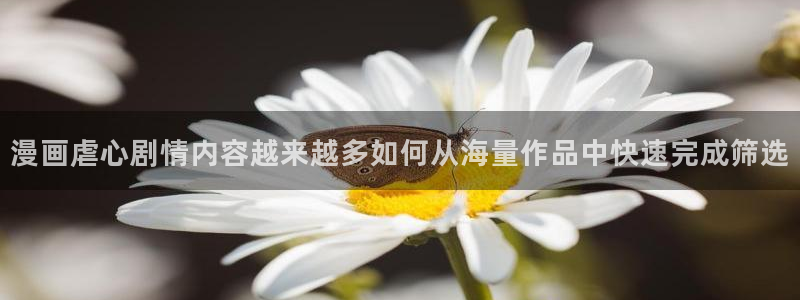 51漫画热门作品